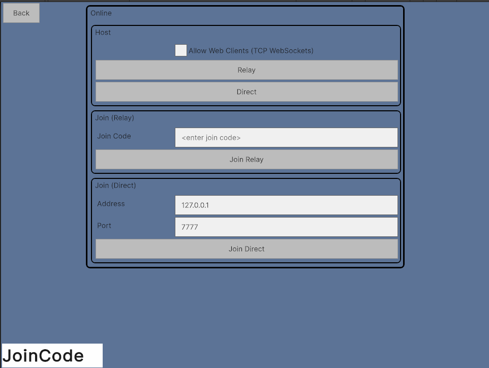 Launch Netcode GUI